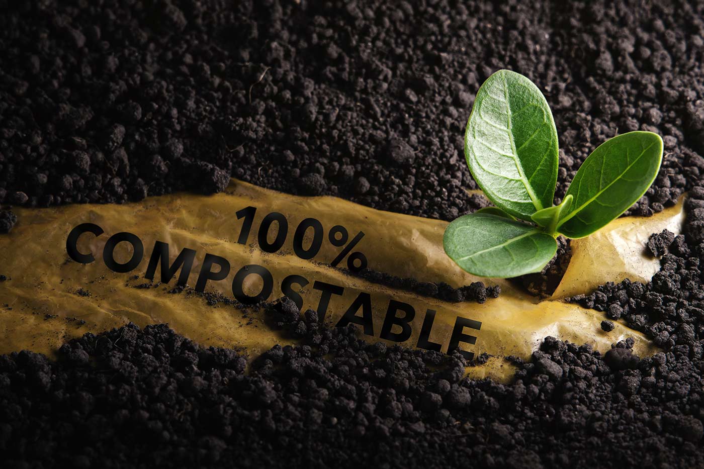 Biodegradable E-commerce Packaging: Terminology Explained