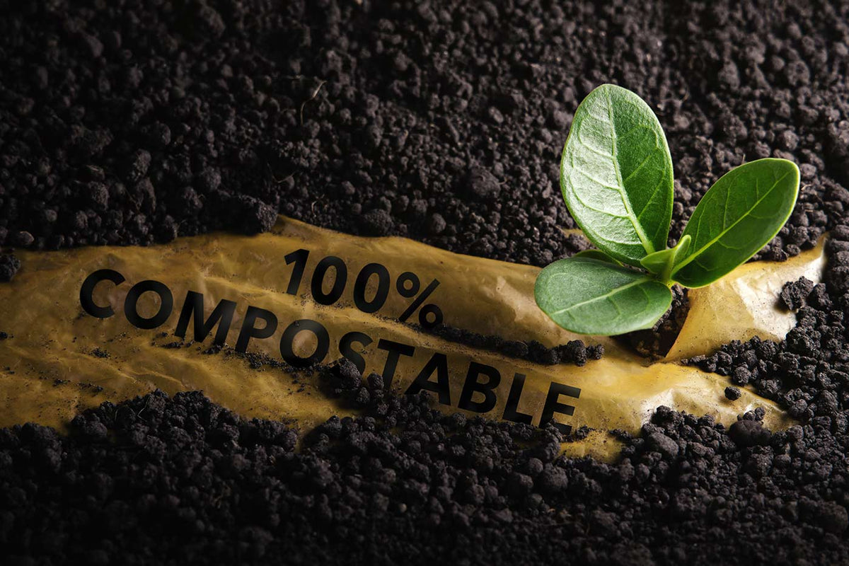 Biodegradable E-commerce Packaging: Terminology Explained