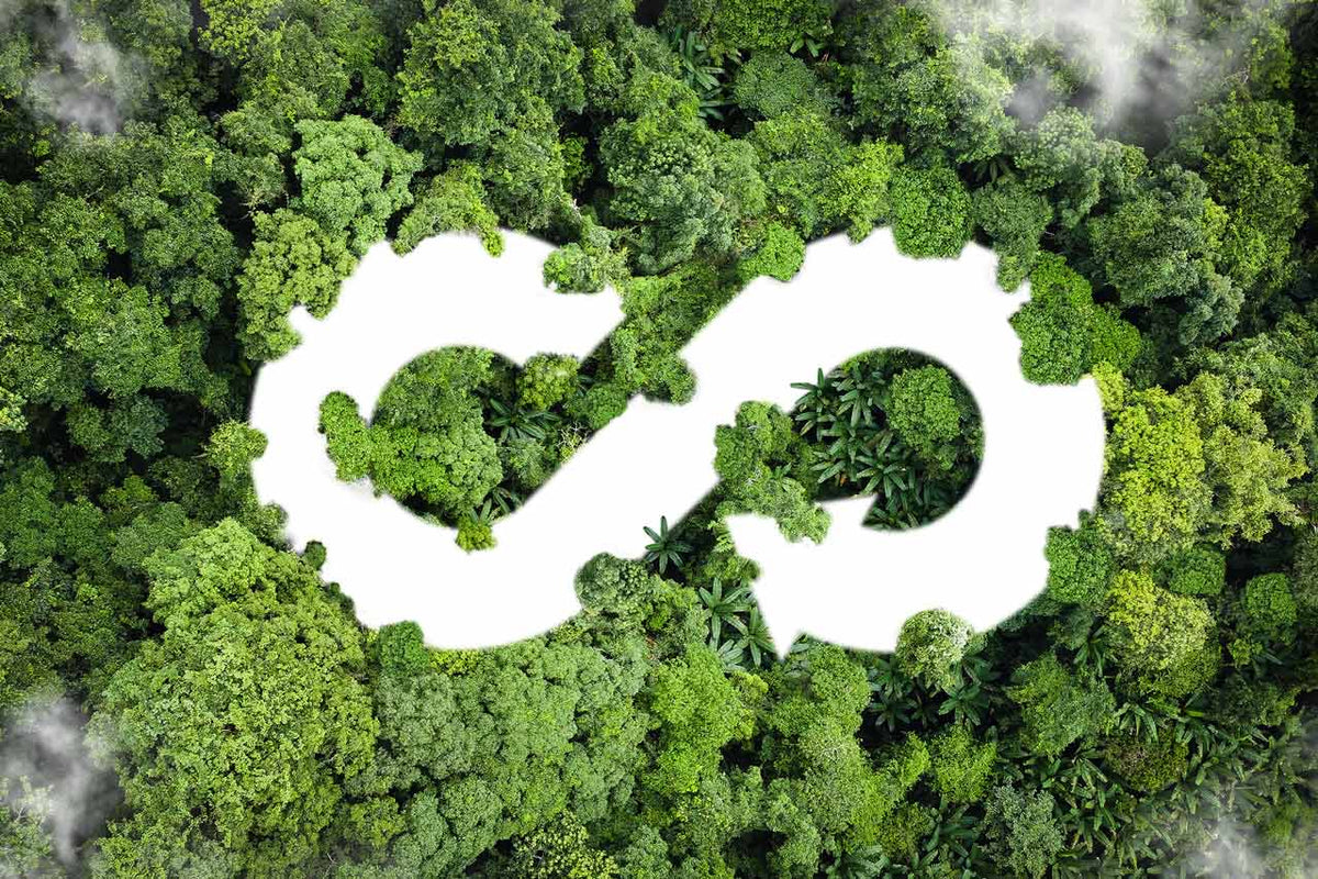 The Circular Economy: a New Era for Ecommerce and the Packaging Industry