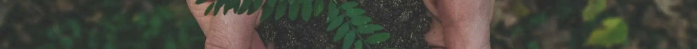 Ecologi-Reversing-Deforestation-with-Subscriptions The Packaging Club