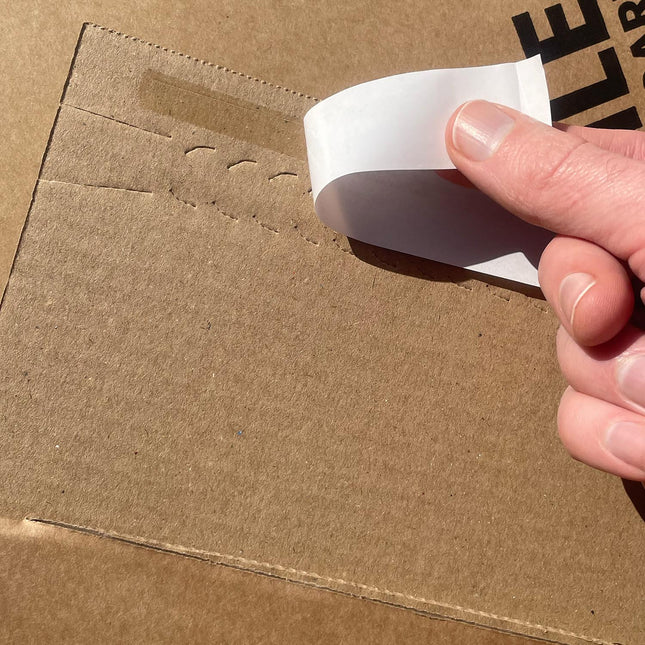 vinyl mailer with peel and seal closure